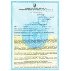 Антисептик для рук ФАСЕПТ 100 мл ___ ФУРМАН (046)